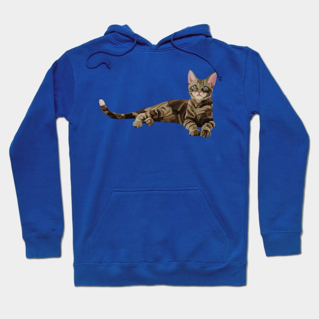 Cute Brown Tabby Kitten Hoodie by Art by Deborah Camp